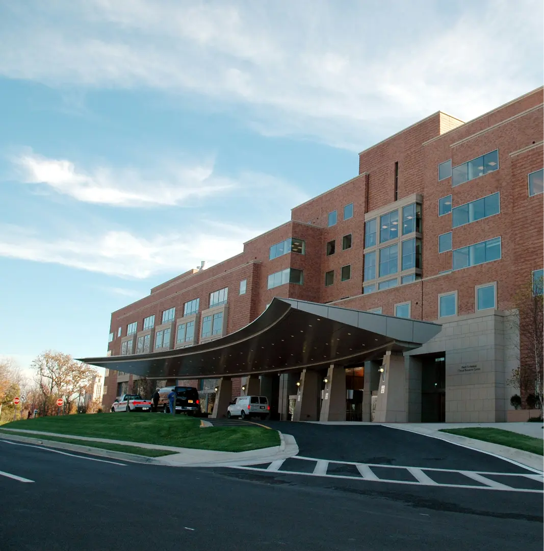 Specialist Support - Serene mountain vista